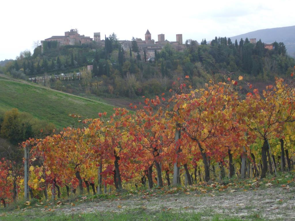 Villa Agriturismo Il Torrione à Certaldo Extérieur photo