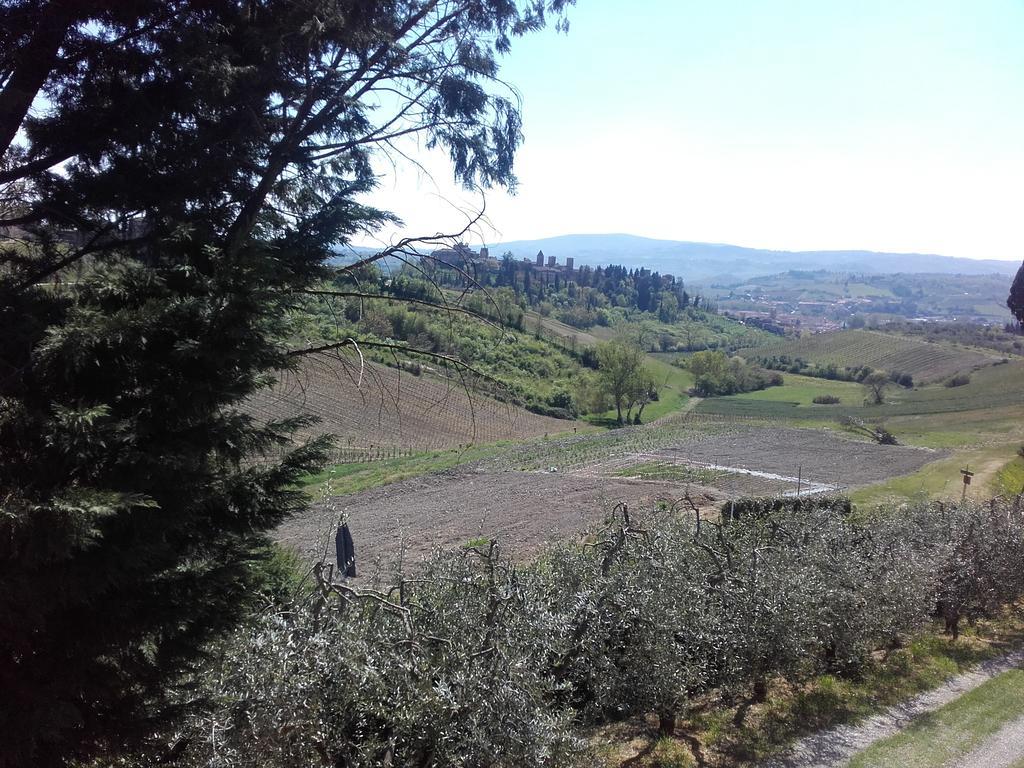 Villa Agriturismo Il Torrione à Certaldo Extérieur photo