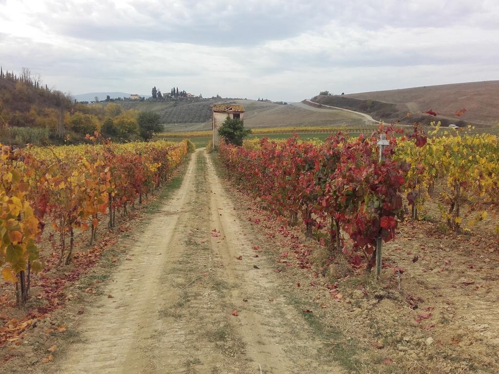 Villa Agriturismo Il Torrione à Certaldo Extérieur photo