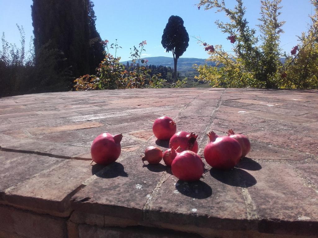 Agriturismo Il Torrione Certaldo Extérieur photo
