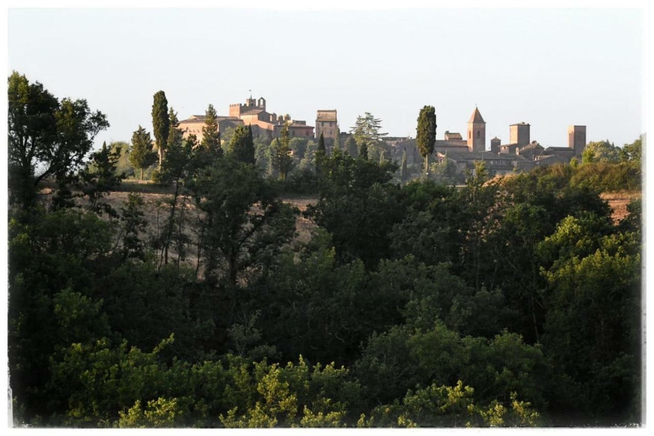 Villa Agriturismo Il Torrione à Certaldo Extérieur photo